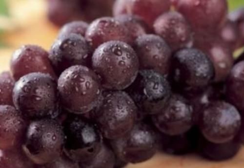 延缓衰老|经常吃葡萄，可能会给身体带来这六种好处，同时需注意这四件事