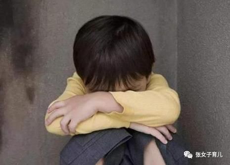 孩子被欺负,李玫瑾教授建议打回去,还不够,还要这样帮助孩子