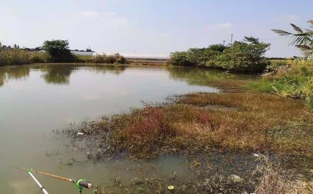 春钓桃花水,秋钓桂花香,仲春时节钓鱼,需要了解的5件事