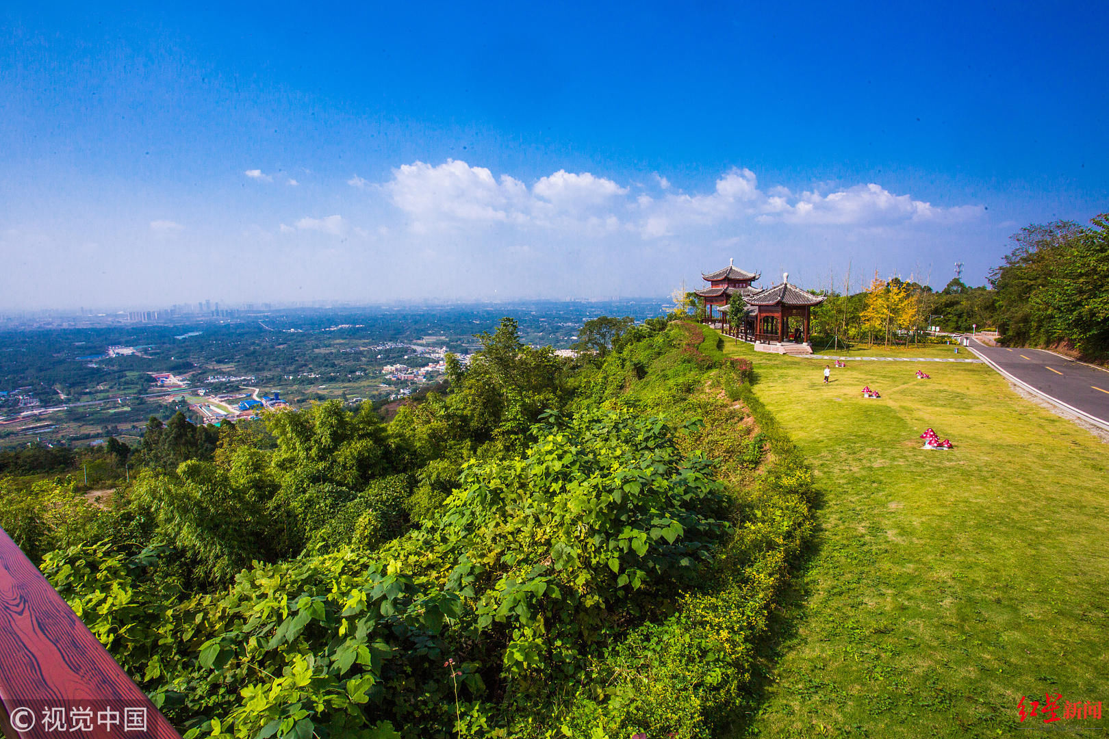 老年|在城市绿心，眺望“未来之城”新模样