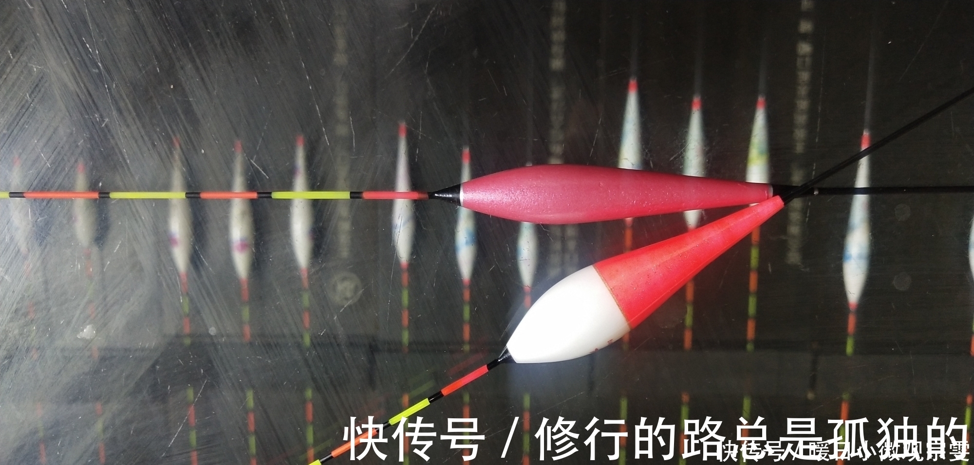 扁尾|一支浮漂打天下还真行不通，想要应对各种渔情，少不了这几种浮漂