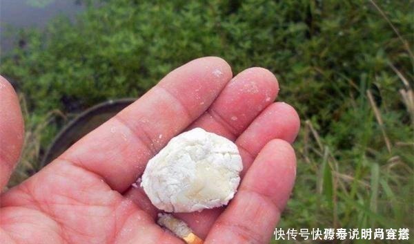 鲫鱼|钓大板鲫饵料配方,便宜且简单,关键还是效果好,适合秋季使用!