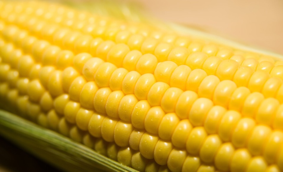 甘油三酯|血脂高可以吃玉米吗提醒甘油三酯超标的人,少吃3种食物