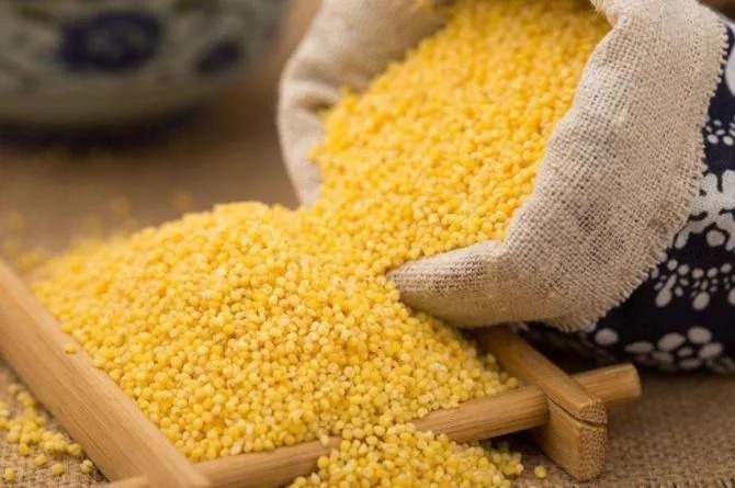 小米|餐桌上有这种常见的食物,防癌、降血糖、助眠……现在知道还不晚!