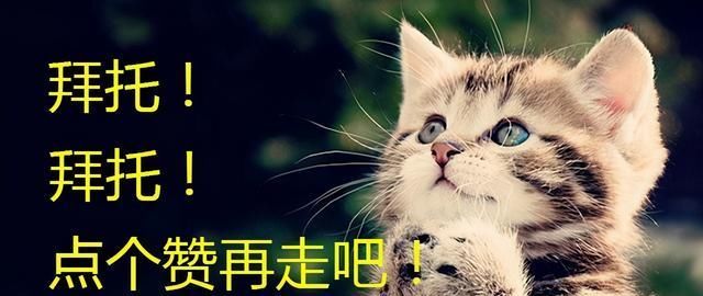 相关|消息称苹果正开发折叠iphone 相关概念股有哪些