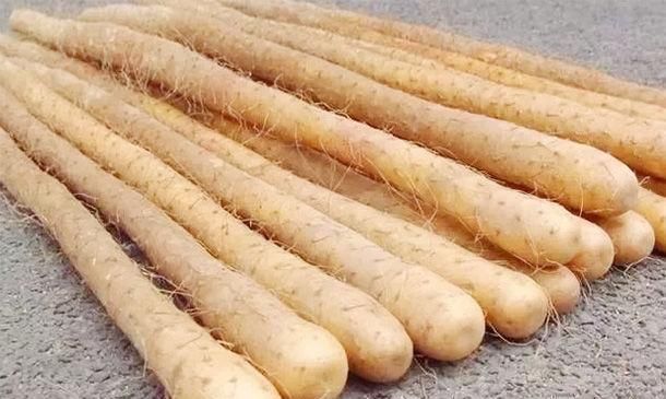 山药|糖尿病的“福音”,藏在身边的“天然胰岛素”,常吃血糖越来越稳