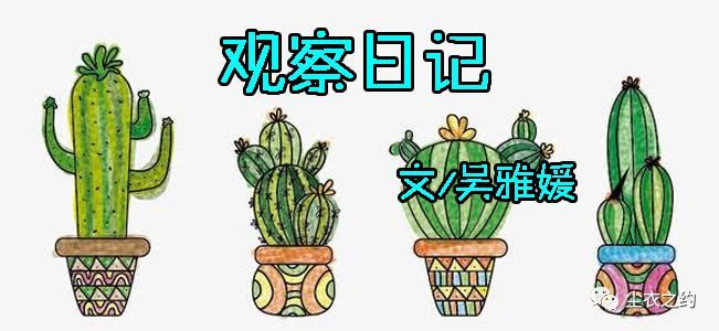 桑植洪家关小学 ▌来自贺龙元帅故里的一组作文