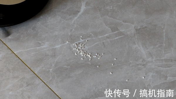 摄像头|Trifo智能扫拖机器人测评:能吸能拖,还是宠物的好玩伴