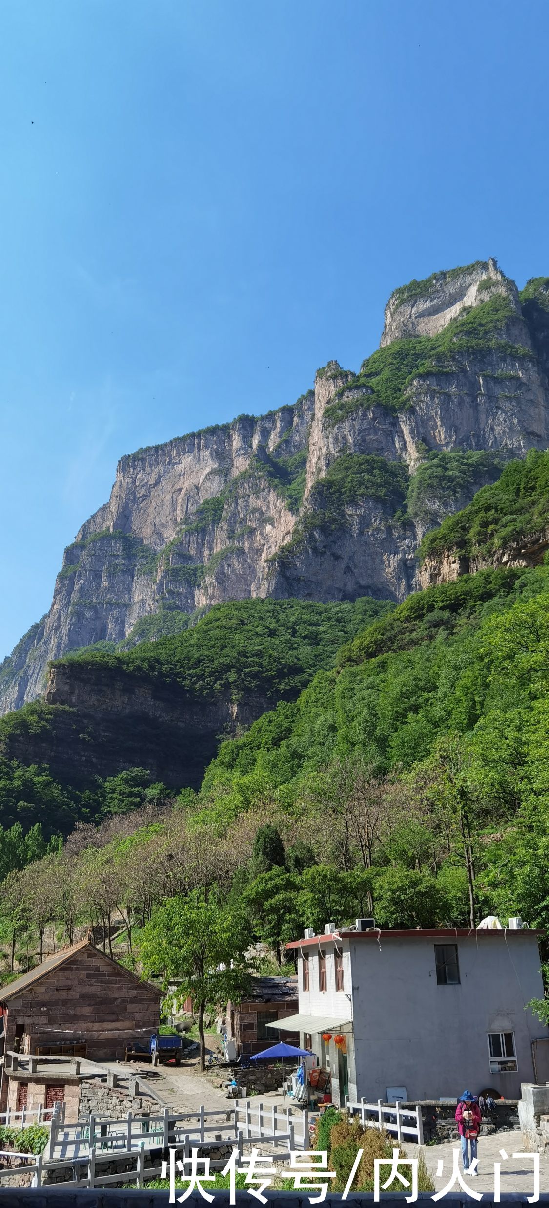 太行山|河南省花鸟画研究会走进太行山采风写生活动