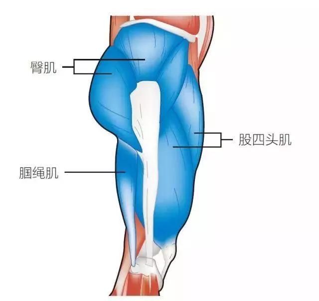  天一冷就腿脚疼？“老寒腿”不止老年人有→