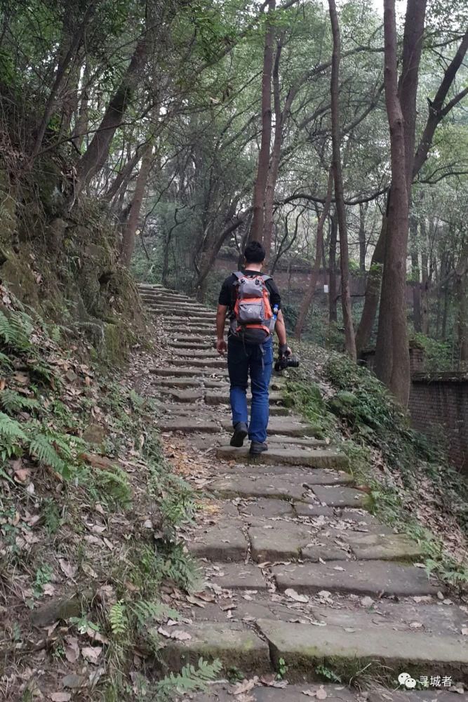 更喜南山千倾野，卅公里后尽开颜