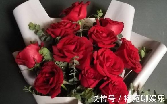 黑玫瑰|大家见过“黑魔术玫瑰”吗花色如墨，高贵优雅，观赏性价值极高