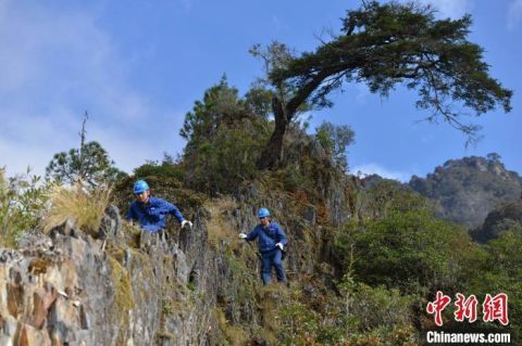  生活物资|四川大凉山“马背上的电力运维员”：无人区穿越7天走出大山