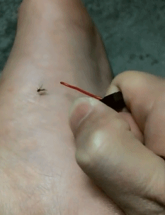 |搞笑GIF趣图:大神作品,毫无PS痕迹!