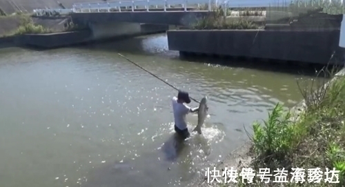 拿着鱼叉在河边等待,突然就跳入水中,结果叉中了一大鱼,厉害了