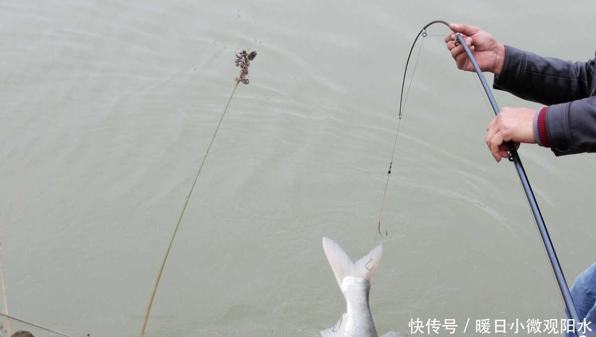 主线|主、子线合理搭配,使小钩细线搏大鱼成为可能,让旁人尖叫
