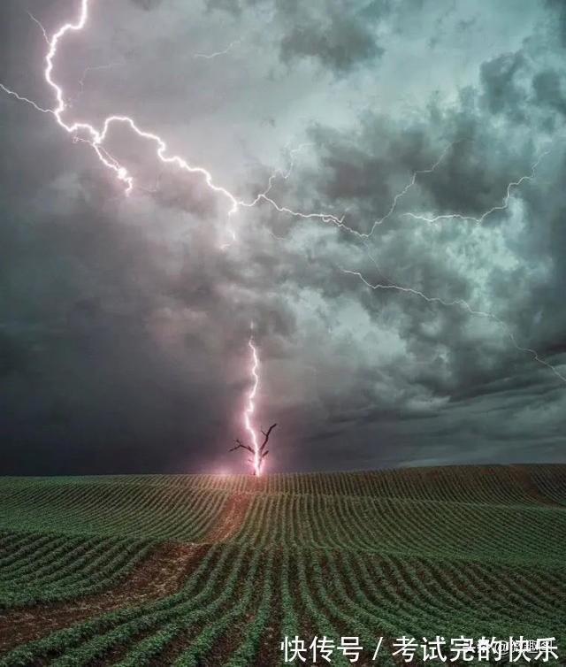 |47张“倒霉又搞笑”的图片,这些人上辈子是毁灭了银河系吗?