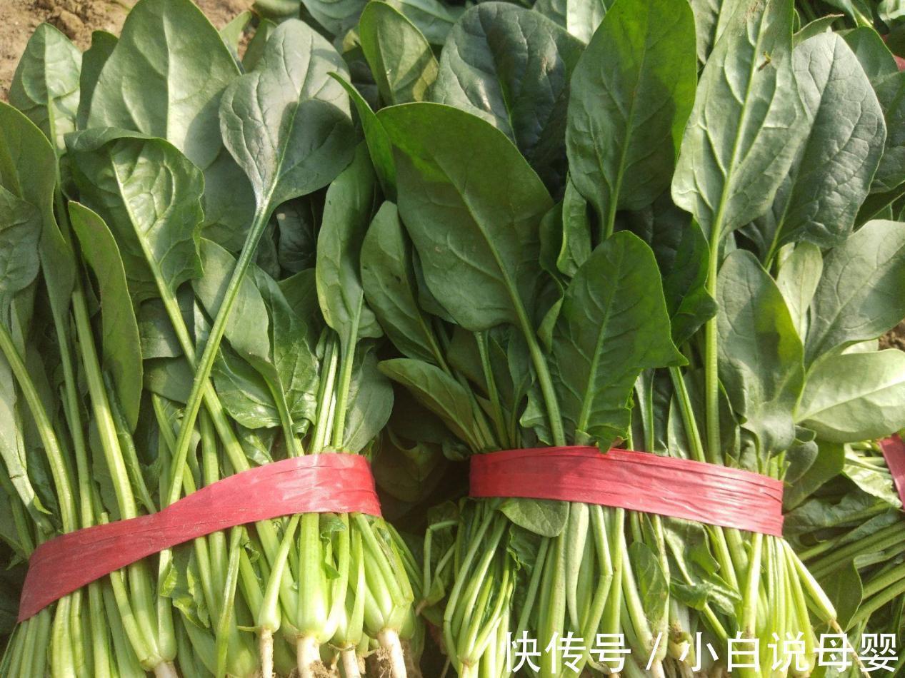 马应龙|得了痔疮吃什么食物可以消除?这几种食物堪称天然痔疮克星!
