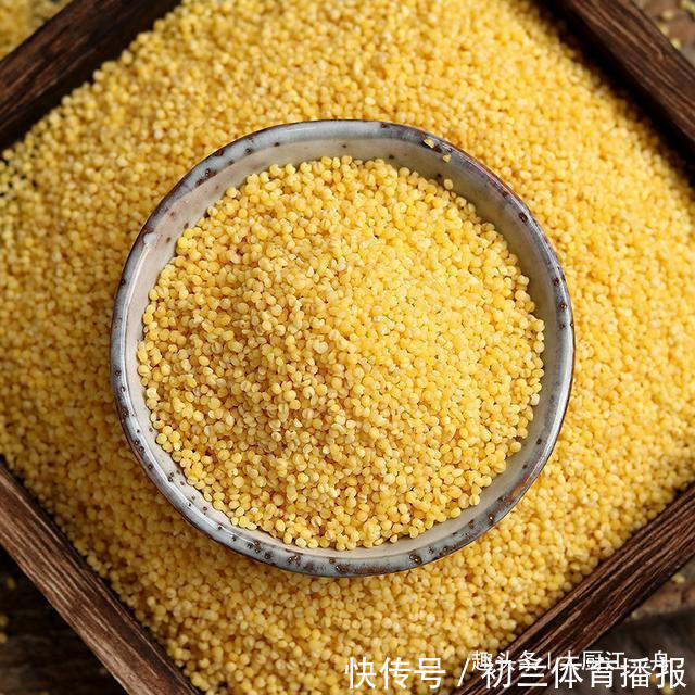 小米粥|熬小米粥，切记不可只加清水，多加这一步，黏稠好喝不溢锅，真香