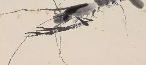 白石山翁!齐白石《群虾图》欣赏