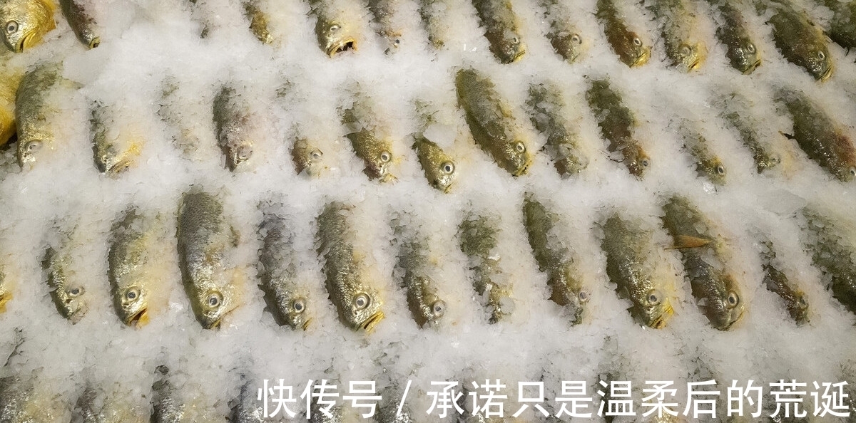 无论解冻什么鱼，不要用清水泡，教你1个技巧，快速解冻还新鲜