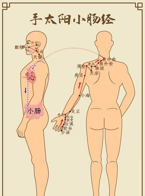 肝经|这个地方通了,大腿、肚子和背竟然都瘦了,脾胃也好了,不信试试