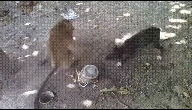 |搞笑gif:好好的一个美女,怎么摔得这么惨啊!看着让人心生怜悯!