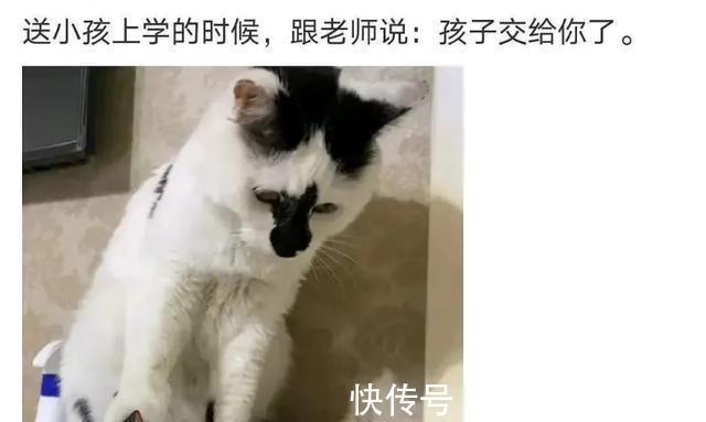 |在游乐场你见过哪些搞笑的设施?网友:这算吗,哈哈