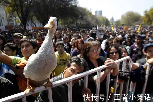 |【被窝段子】因为梦想 所以选择远方;因为无所依靠 所以必须坚强