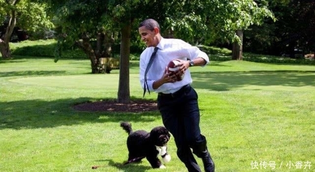 那些坚持每晚10点睡觉、五六点起床跑步的人，最后都怎么样了