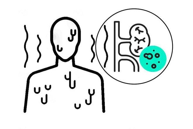 高血压肾病|就单纯肾病而言，糖尿病和高血压带来的就有3点不同，早该了解