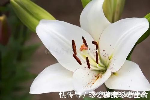 焦虑抑郁症|把植物神经紊乱当颈椎病、精神焦虑抑郁病去治，麻烦可就大了！