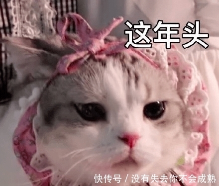 最流行的5件内搭+外套,时髦到犯规!