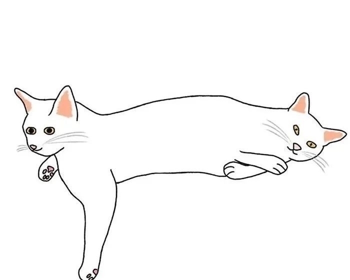 插画$插画家画了几只猫,被网友吐槽瞎画,放上原照后,人们直接无语
