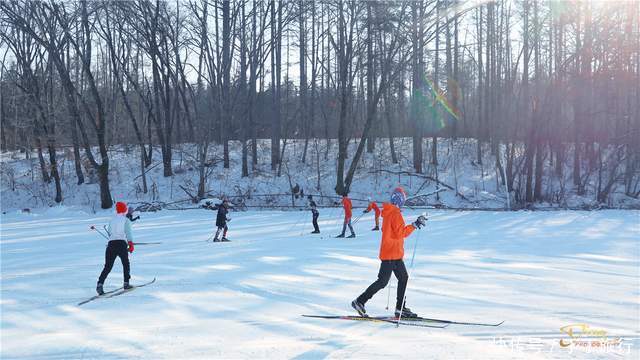 你可知长春雪雕背后的故事,雪雕界黄埔军校,冰雪里的技术淘金者