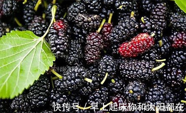 血管健康|“天然阿司匹林”找到了,50岁后要常吃,软化血管防血栓,更长寿