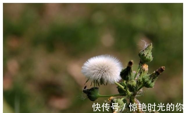 桃花运|在12月份，满心欢喜，倍感珍惜，修成正果的三大星座