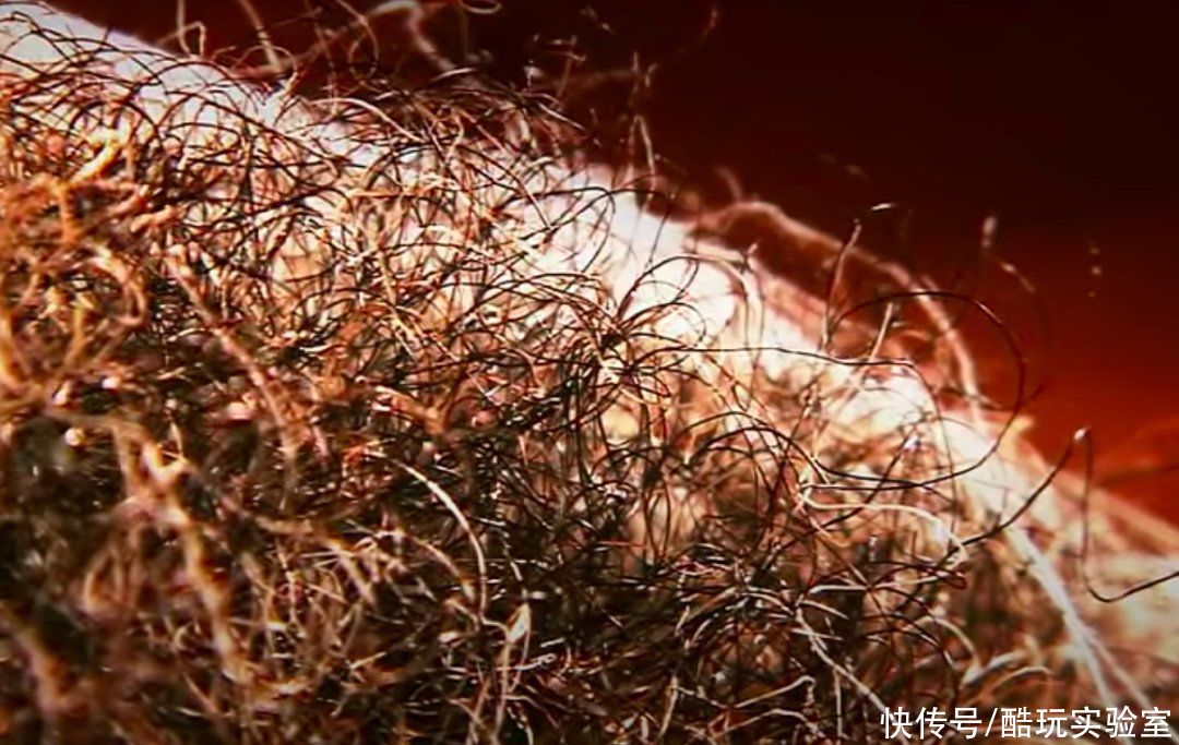 马毛|你想在价值10万元的床垫上滚床单吗?