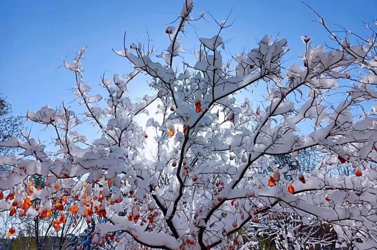 雪融|大美玉皇庙 限定版美景上线