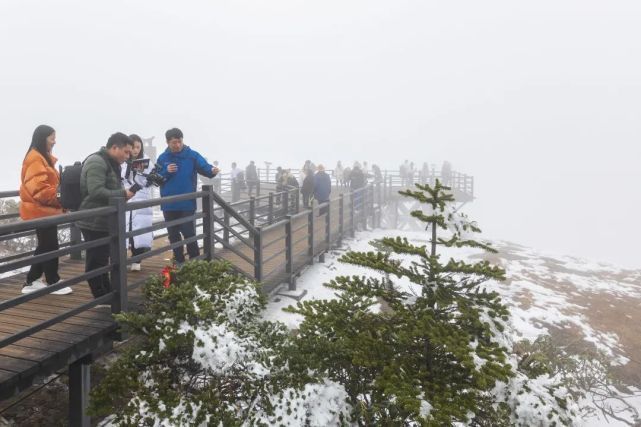 雪山|全网565.7万人次围观！央视“发现轿子雪山”主题直播火了！