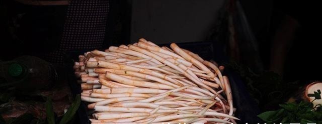 淤泥中一种野菜,长得像藕带,离水后很快就老!