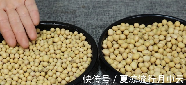 区别|没人告诉你转基因与非转基因大豆的区别,我给你看,教你怎样辨别!