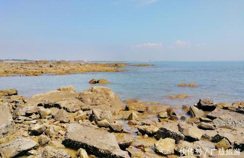 充足|日照赶海需要知道的，潮汐表赶海时间哪里可以赶海