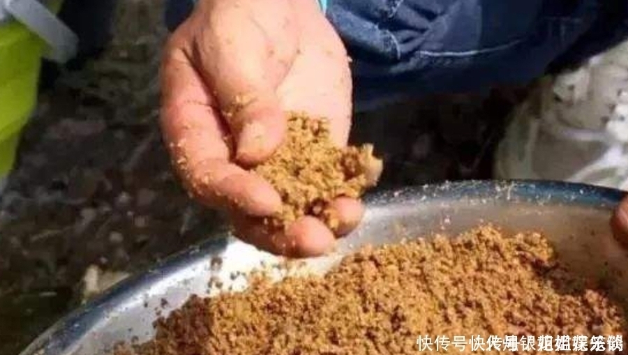 实用|钓了三十年鱼,如今才公布:这诱鱼“八字诀”简单又实用,莫忽视