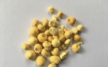 鼻涕|清代名医黄元御的神奇配方!简单8味药,补阳气,搞定过敏性鼻炎