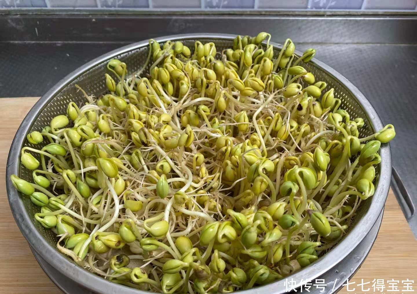 在家发豆芽的秘方,老妈用了半辈子,营养脆嫩又卫生,5天就能吃