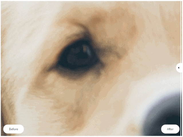 照片拍糊了怎么办?用 TOPAZ SHARPEN AI 把照片秒变清晰-HEU8