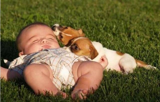 光的速度那么快,为什么撞向人不会产生撞击力这里告诉你原因