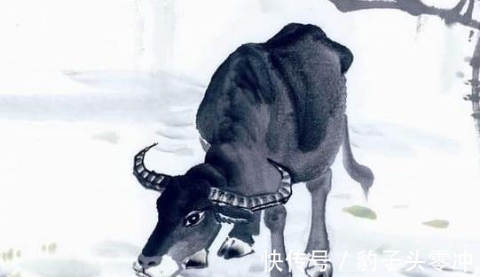 大运|10月起3大生肖钱财入账,运势上上吉,得贵人支持,一生不愁