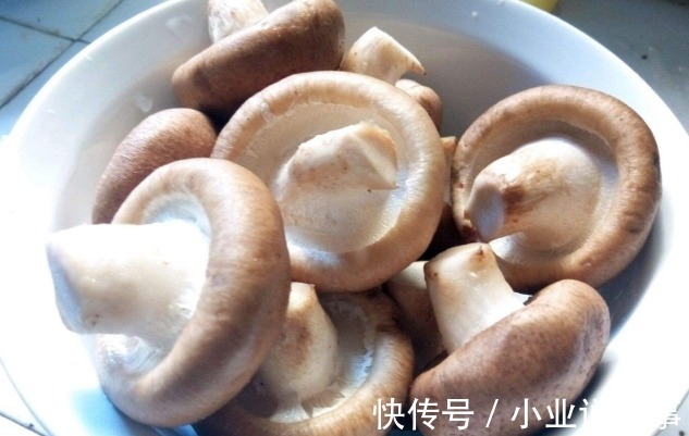 香菇|春天的“蔬菜之王”,十几元一斤也要买,常吃受益全家人